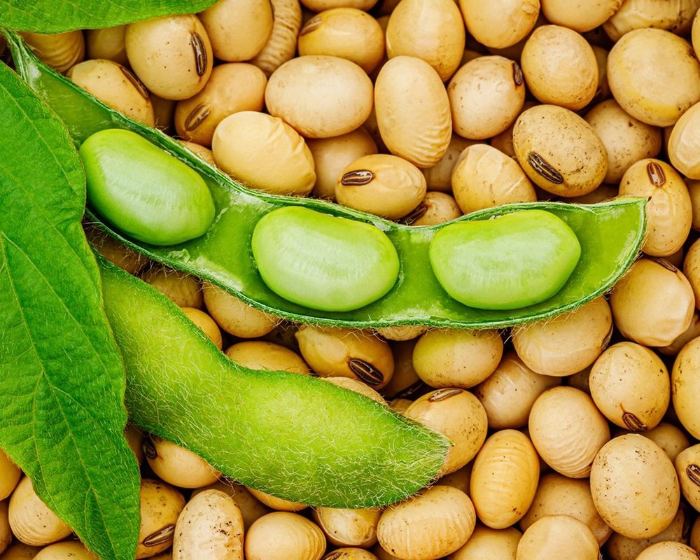 Marktrapport prijsstijging oliën en vetten houdt aan