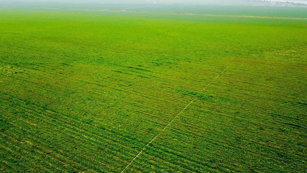 Prijzen van tomatenconcentraat kennen ongeziene hoogtes