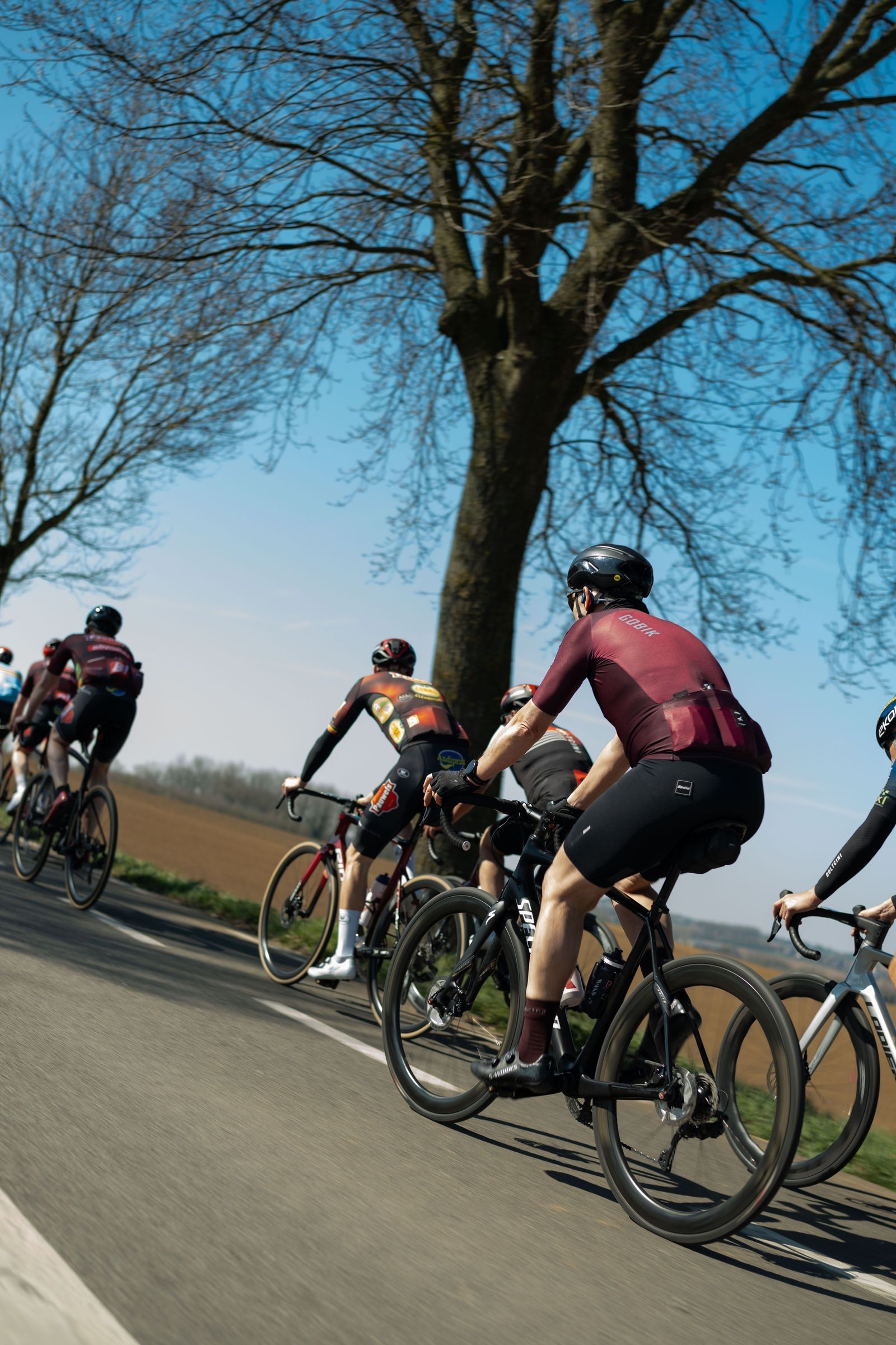 Ronde van Vlaanderen met Pauwels